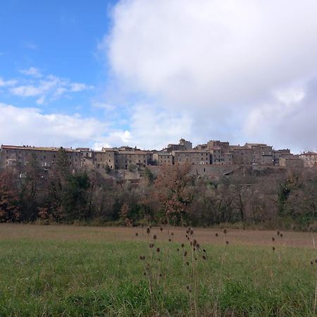 Casa Vacanza In Casale Vicino Orvieto Ficulle Εξωτερικό φωτογραφία