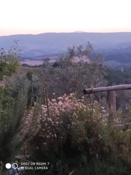 Casa Vacanza In Casale Vicino Orvieto Ficulle Εξωτερικό φωτογραφία