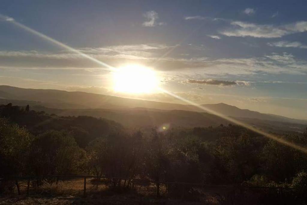 Casa Vacanza In Casale Vicino Orvieto Ficulle Εξωτερικό φωτογραφία