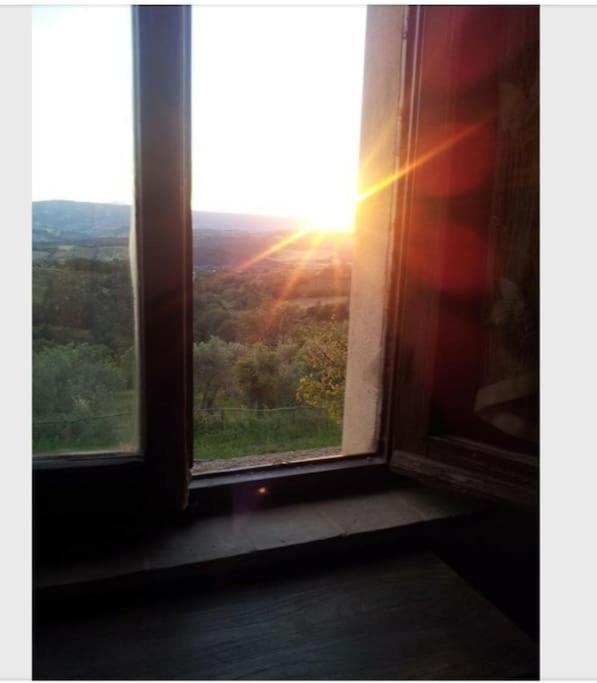 Casa Vacanza In Casale Vicino Orvieto Ficulle Εξωτερικό φωτογραφία